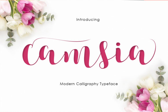 Camsia: A Script Handwritten Font for Editorial Design