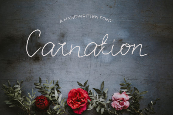 Carnation Font for Elegant Branding and Professional Design