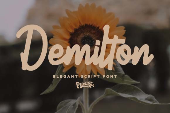 Demilton: A Handwritten Font for Elegant Branding