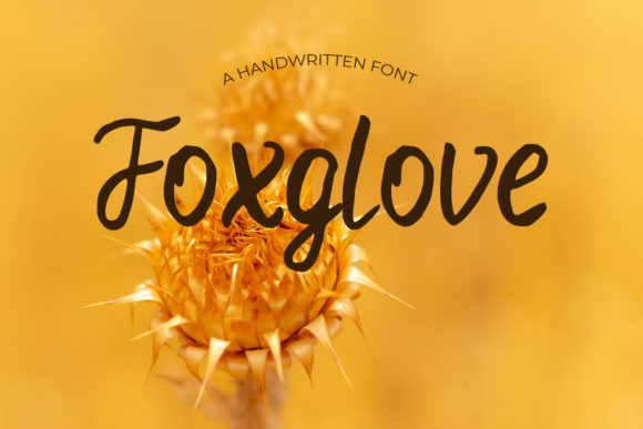 Foxglove: A Contemporary Script Font for Modern Branding