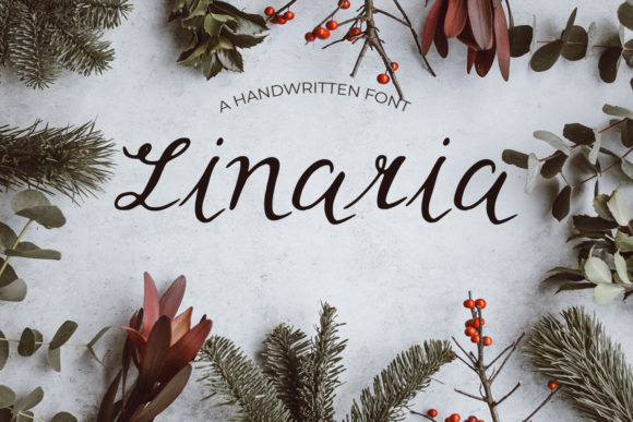 Linaria: A Delicate Script Font for Elegant Branding and Campaigns