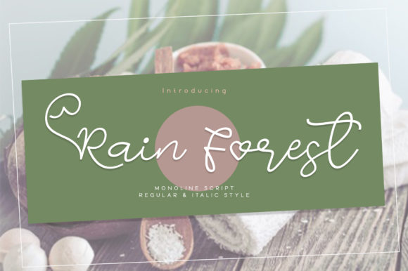 Rain Forest: A Script Font for Elegant Web Design