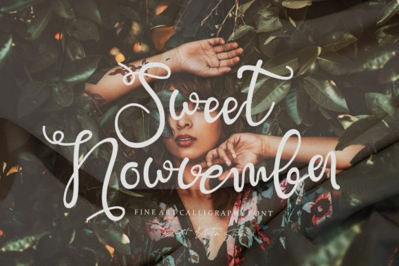Sweet Nowvember Font Review for Branding and Design